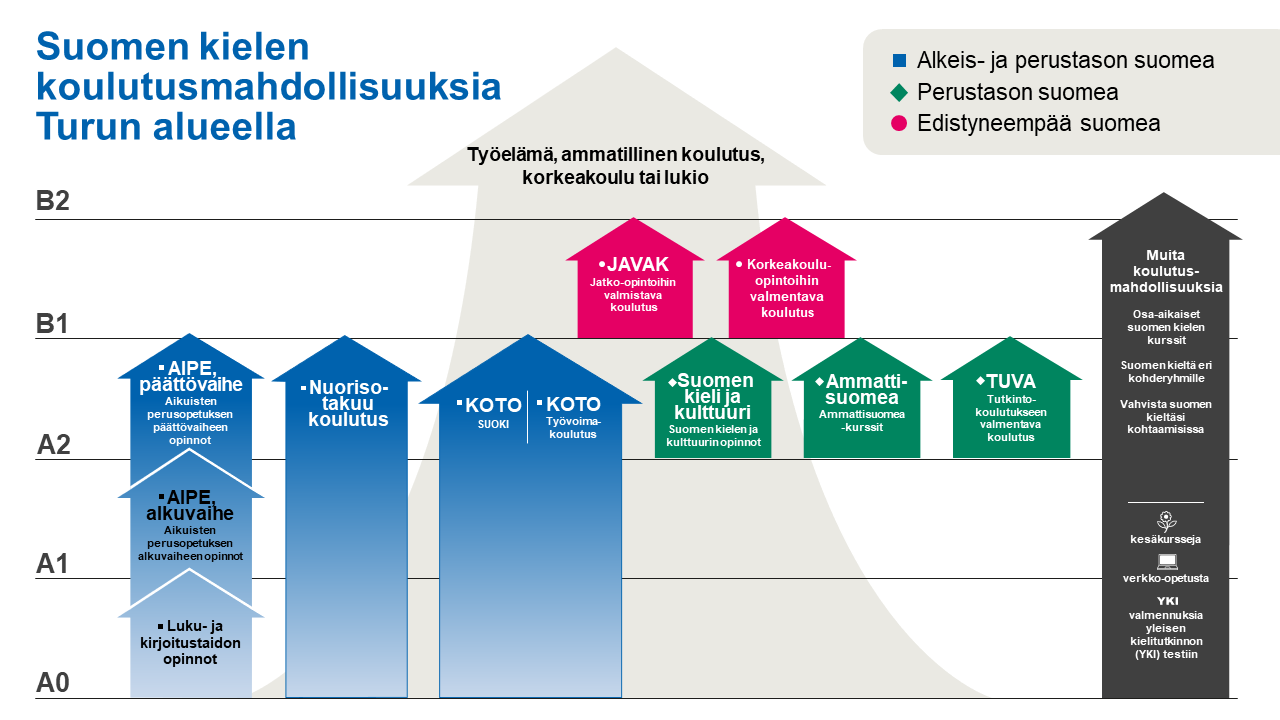 Grafiikka eri suomen kielen koulutuksista